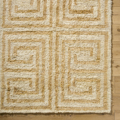 Wasim Area Rug