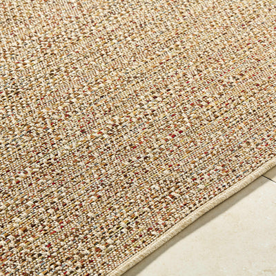 Thanh Area Rug