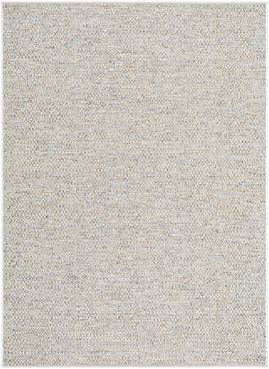 Thanh Area Rug