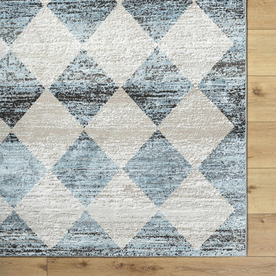 Sample Tuomo Area Rug