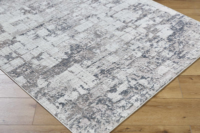 Tycho Area Rug