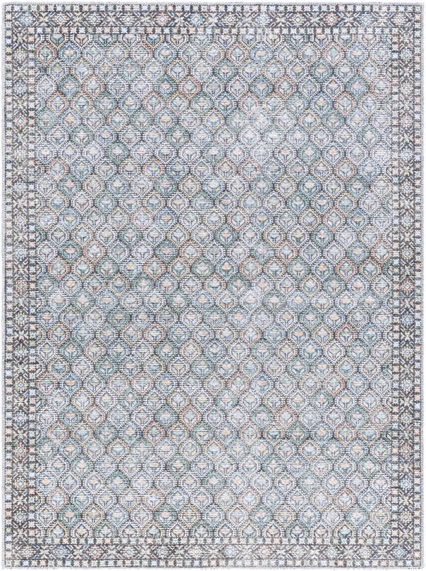 Telma Washable Area Rug