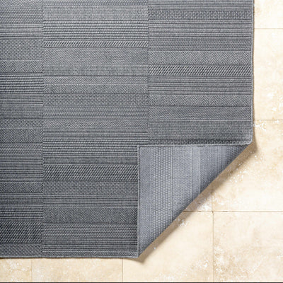 Thana Gray Area Rug