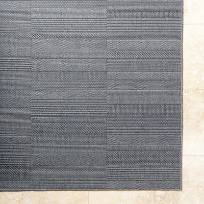 Thana Gray Area Rug