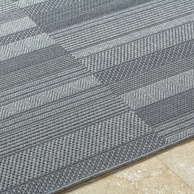 Thana Gray Area Rug