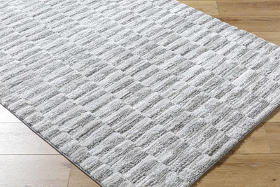 Tiimu Shag Area Rug