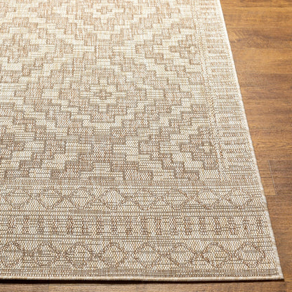 TRICIA Indoor & Outdoor Global Jute-Look Brown Area Rug Front