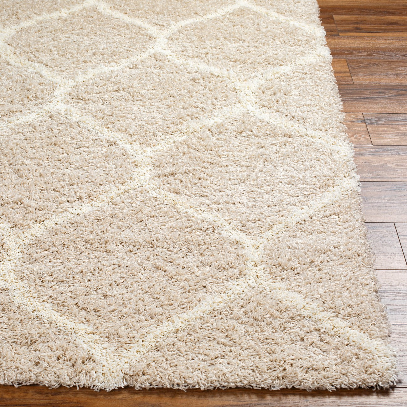 JUDY Shaggy Cottage Plush Pile Beige Area Rug Front