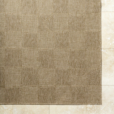 Veras Area Rug