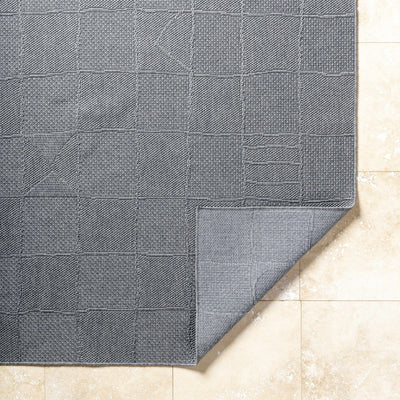 Veras Area Rug