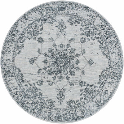 Wandina Traditional Area Rug