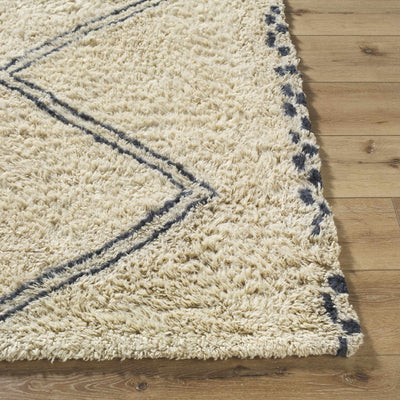 Audrey Area Rug