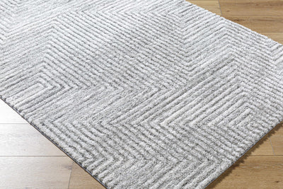 Aerith Shag Area Rug