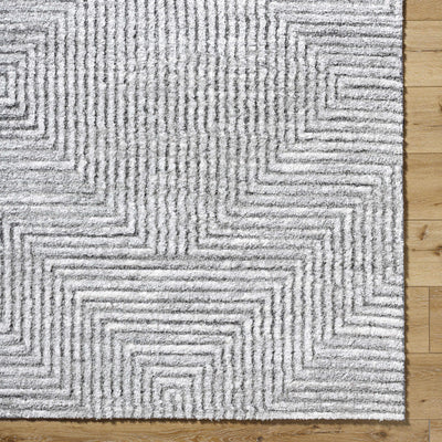 Aerith Shag Area Rug