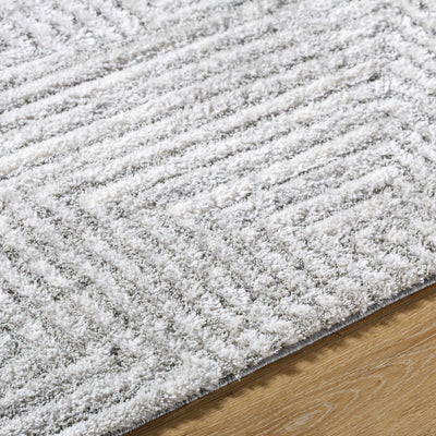 Aerith Shag Area Rug