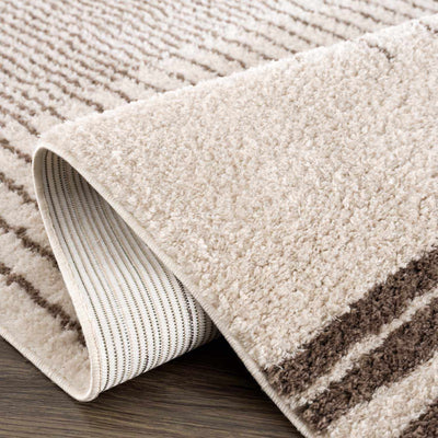 Apichu Brown Washable Area Rug