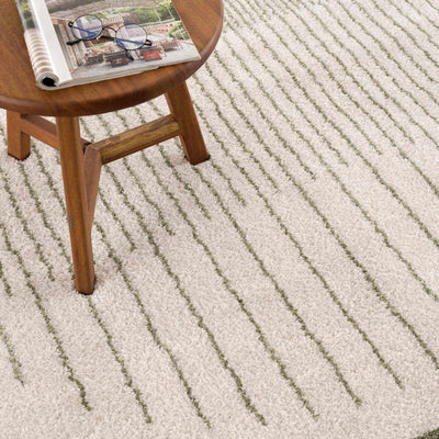 Apichu Green Washable Area Rug