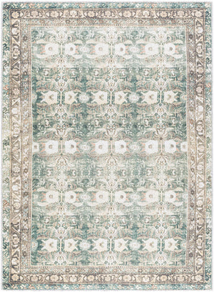 Acoose Green Washable Area Rug