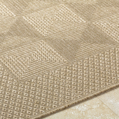 Anabia Brown Area Rug