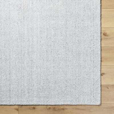 Sample Zareh Gray Blue Solid Area Rug