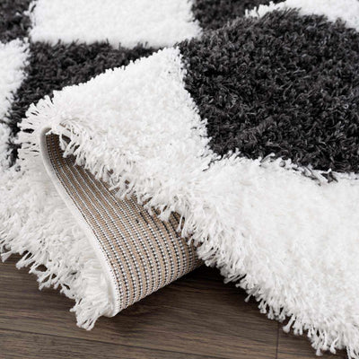 Zahur Black & White Diamond Area Rug