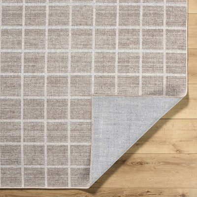 Anicet Checkered Wool Washable Area Rug