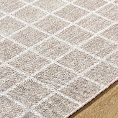 Anicet Checkered Wool Washable Area Rug