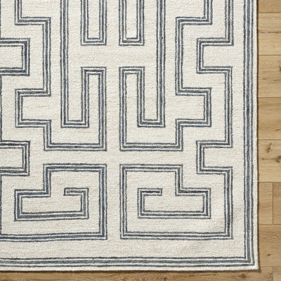 Sample Zhang Area Rug