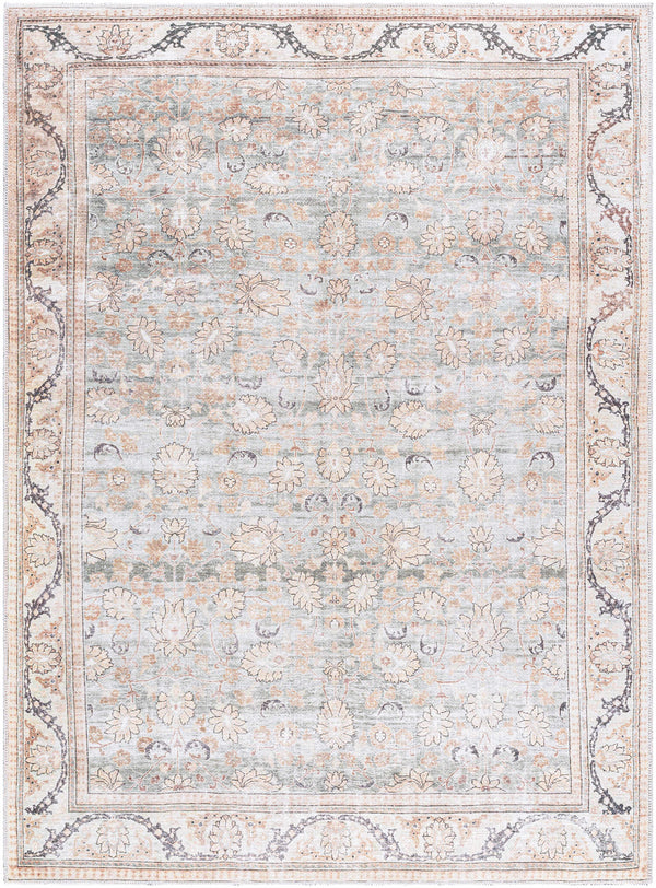 Zamir Washable Area Rug