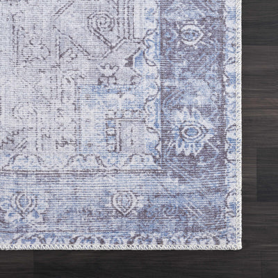 Sample Pays Washable Area Rug - Clearance