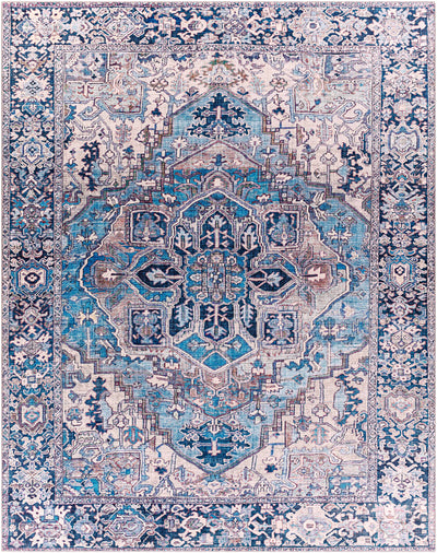 Neyland Iris Blue Area Rug 2362