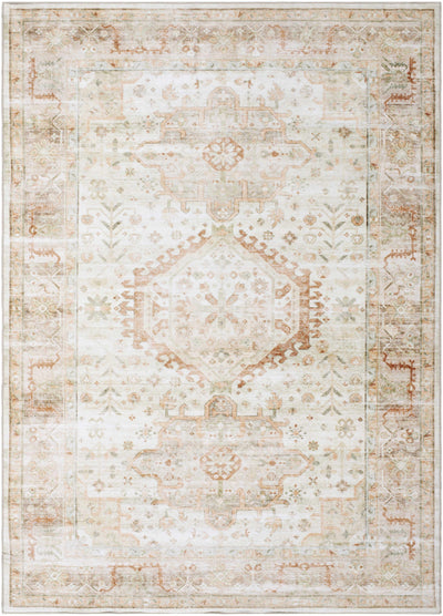 Laran Rust Distressed Washable Area Rug