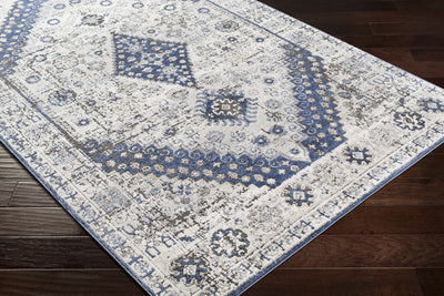 Robe Gray/Blue Medallion Rug - Clearance