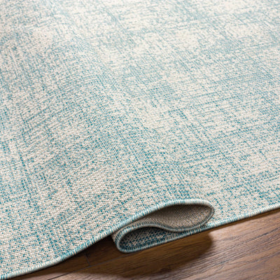 Rhea Area Rug - Clearance