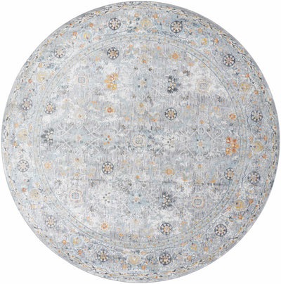 Finn Silver Blue Area Rug