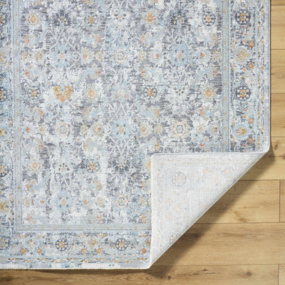 Finn Silver Blue Area Rug