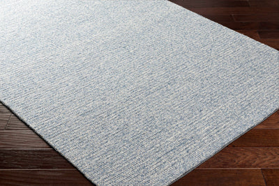 Alyra Light Blue Solid Area Rug