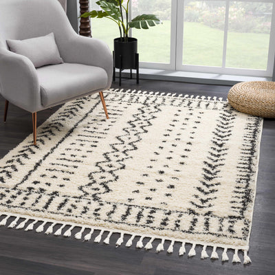 Hauppauge Berber Shag Carpet