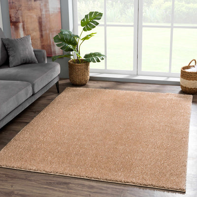 Judy Solid Brown Washable Shag Rug