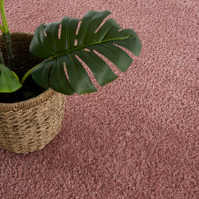 Judy Solid Pink Washable Shag Rug