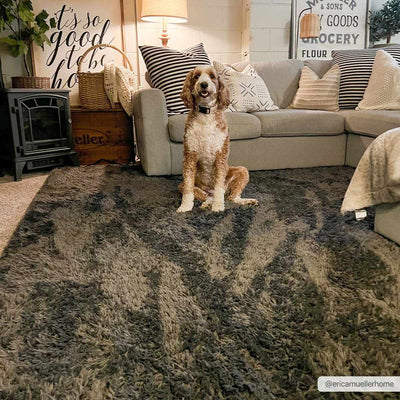 Black Allon Area Rug - Clearance