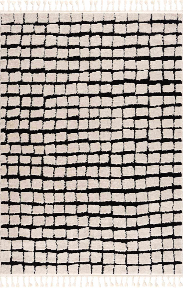 Teshi Checkered Area Rug