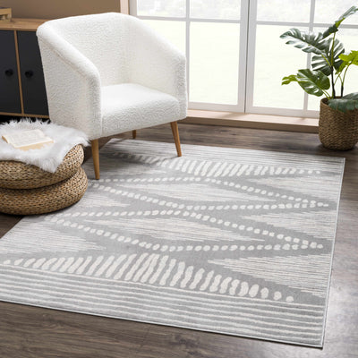 Gray Diamonds TGS2326 Rug - Clearance