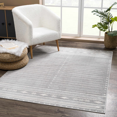 Aztec Pinstripe Gray Rug TGS-2324 - Limited Edition