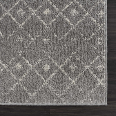 Tigrican Gray 2330 Area Rug - Clearance