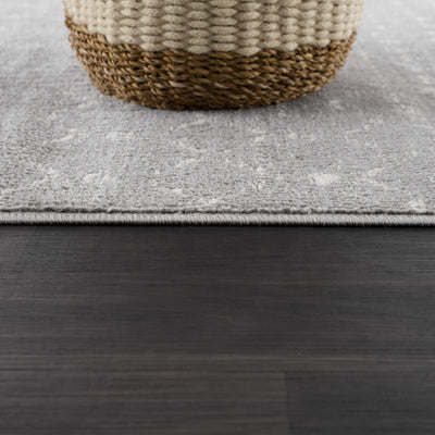 Tigrican Gray 2330 Area Rug - Clearance