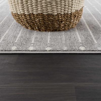 Aztec Pinstripe Gray Rug TGS-2324 - Limited Edition