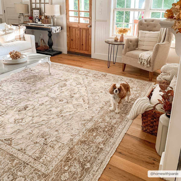 Malcolm Area Rug - Clearance