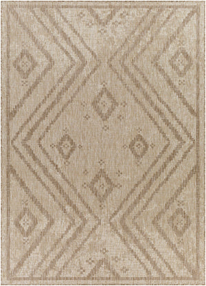 Agsungot Indoor & Outdoor Rug - Clearance