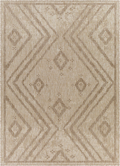 Agsungot Indoor & Outdoor Rug - Clearance